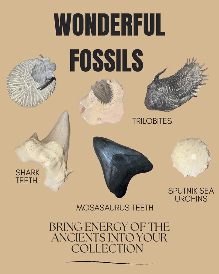 Wonders of the World